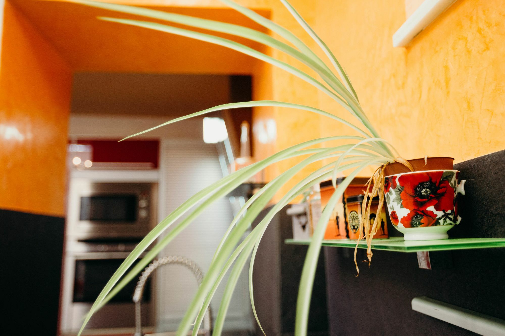 Loft Del Arte Apartment Cadiz Luaran gambar